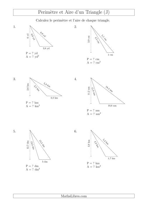 Calcul de l'Aire et du Périmètre d'un Triangle Obtusangle (J)