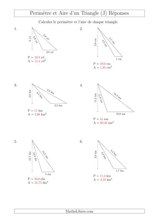 Calcul de l'Aire et du Périmètre d'un Triangle Obtusangle (J) page 2
