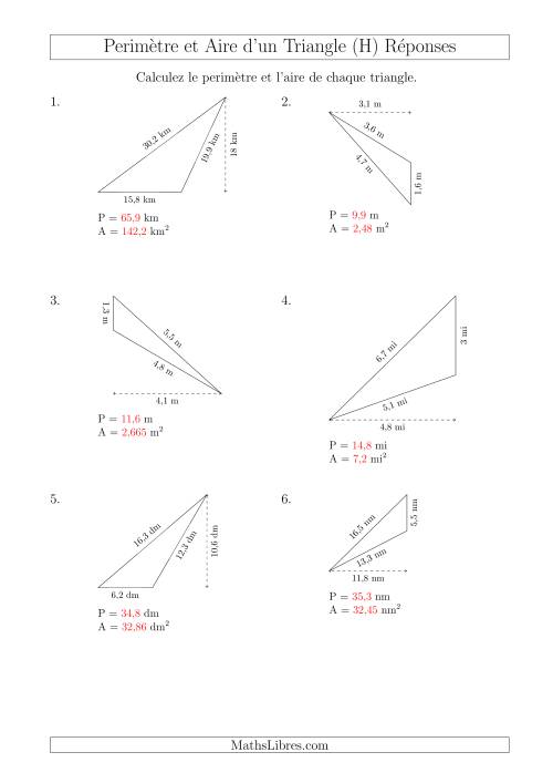 Calcul de l'Aire et du Périmètre d'un Triangle Obtusangle (En Rotation) (H) page 2