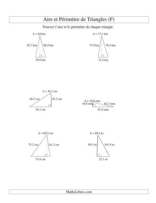 Aire et périmètre de triangles (jusqu'à 1 décimale; variation 10-99) (F)