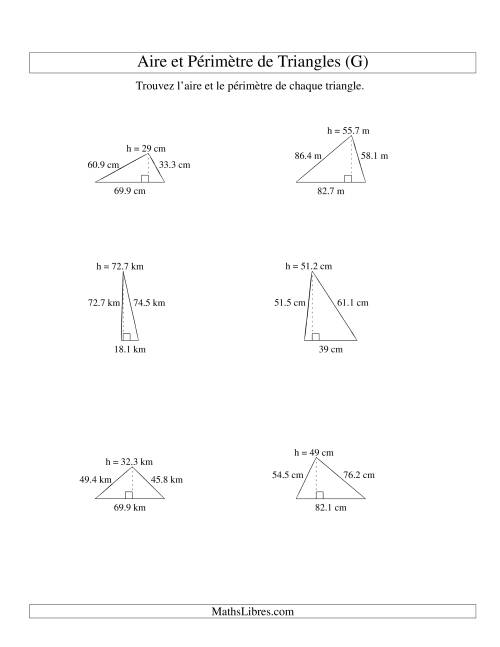 Aire et périmètre de triangles (jusqu'à 1 décimale; variation 10-99) (G)