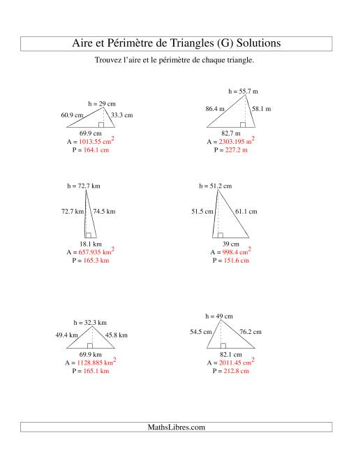 Aire et périmètre de triangles (jusqu'à 1 décimale; variation 10-99) (G) page 2