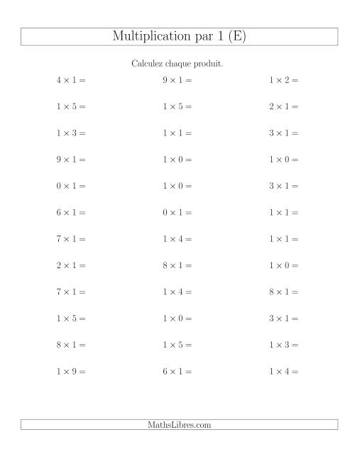Règles de Multiplication Individuelles -- Multiplication par 1 -- Variation 0 à 9 (E)