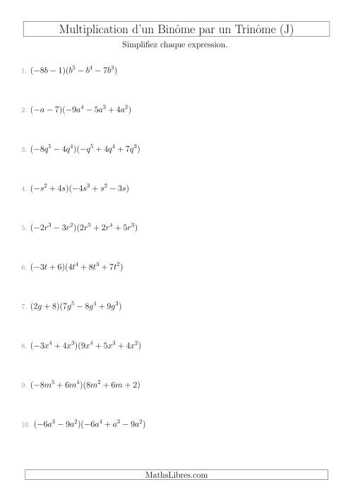 Multiplication d’un Binôme par un Trinôme (J)