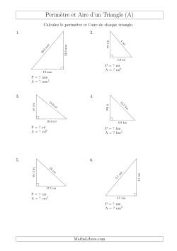 Calcul de l'Aire et du Périmètre d'un Triangle Rectangle (En Rotation)