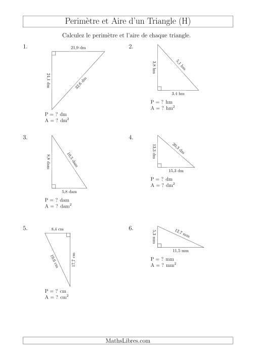Calcul de l'Aire et du Périmètre d'un Triangle Rectangle (H)