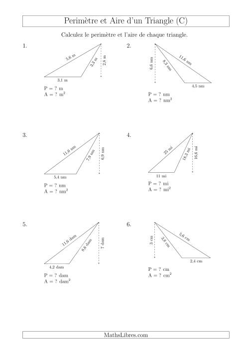 Calcul de l'Aire et du Périmètre d'un Triangle Obtusangle (C)