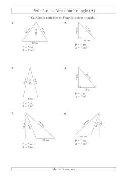 Calcul de l'Aire et du Périmètre des Triangles Divers