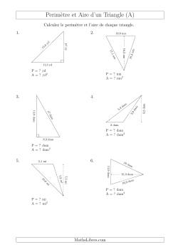 Calcul de l'Aire et du Périmètre des Triangles Divers (En Rotation)