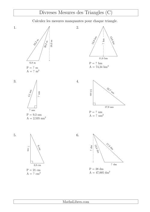 Calcul de Divreses Mesures des Triangles (C)