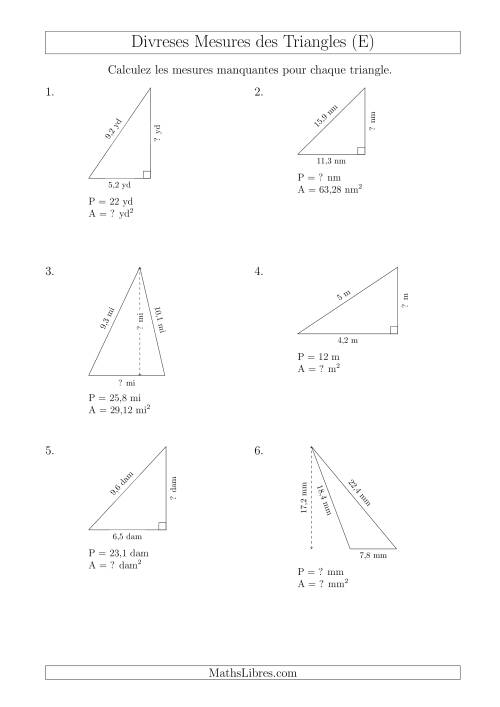 Calcul de Divreses Mesures des Triangles (E)