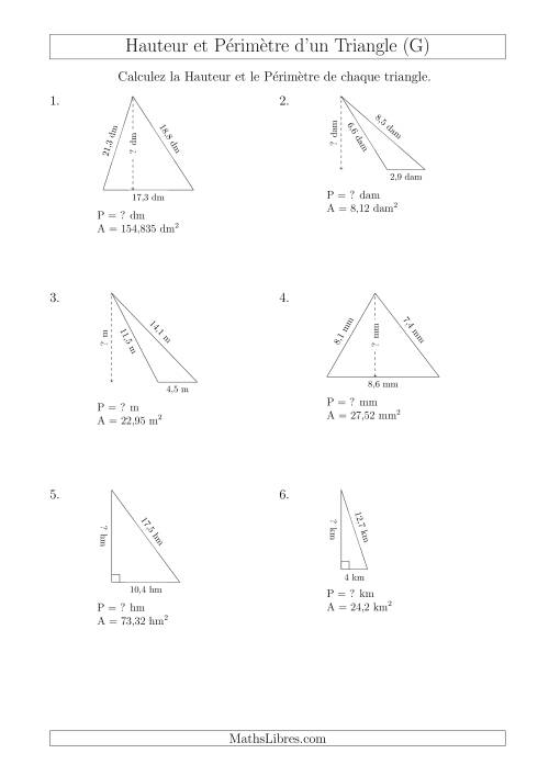 Calcul de la Hauteur et du Périmètre des Triangles (G)